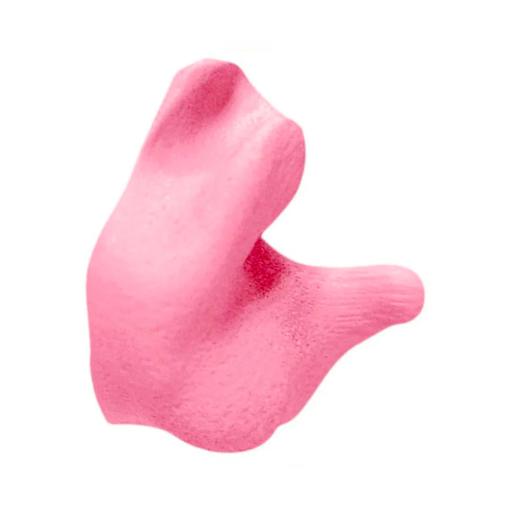 Radians DIY Custom Molded Earplugs - Image 3